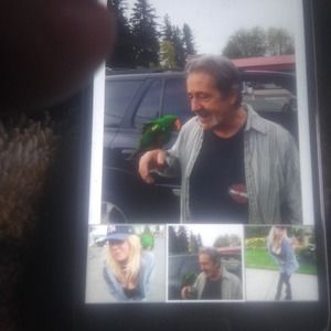 Meet your Posher, Robert